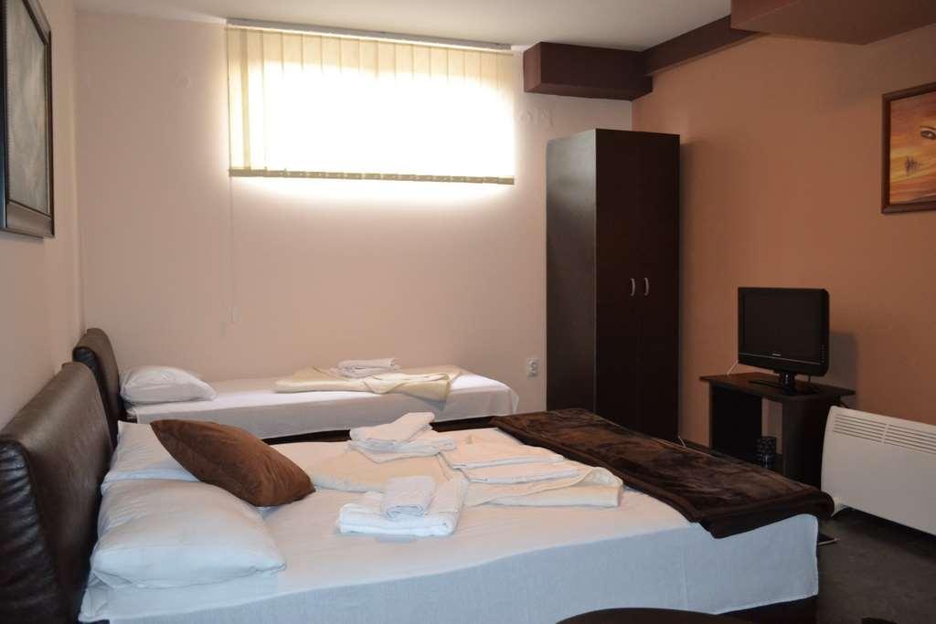 Guesthouse Vila Dnd Niska Banja Rom bilde